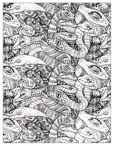 They can use yellows for the spotted and striped ones. Snakes 2 | Animals - Coloring pages for adults | JustColor