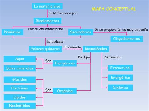 Mapa Conceptual De Los Niveles De Organizacion De La Materia Viva Compartir Materiales