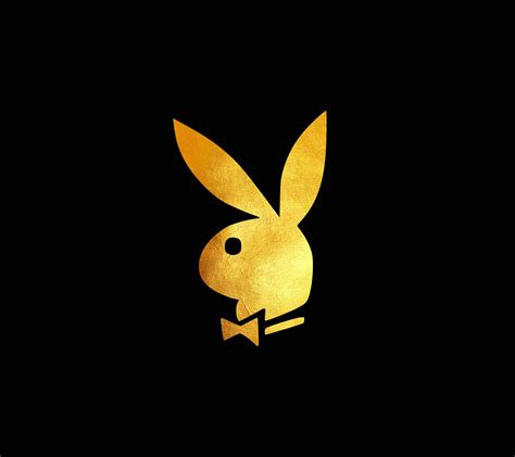100 Playboy Wallpapers For Free