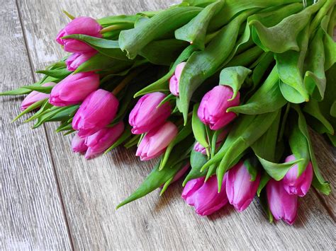 Bouquet With Pink Tulips Wonderful Spring Season