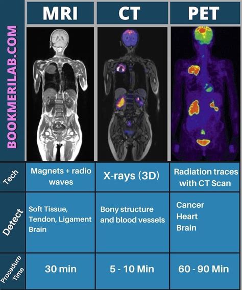 What Does A Ct Scan Show For Dogs