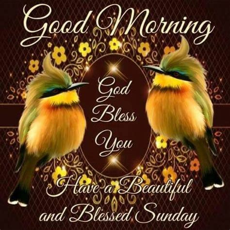 Good Morning Have A Beautiful And Blessed Sunday Pictures Photos And