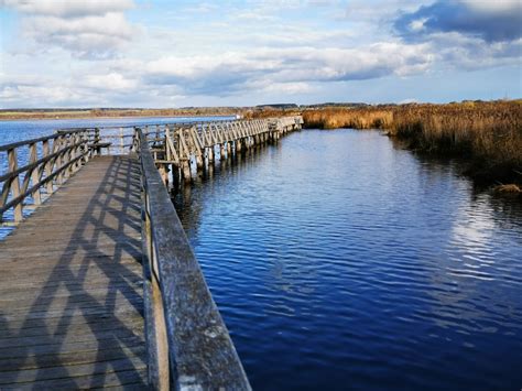 More images for federsee » Federsee und Wackelwald Bad Buchau - schon-wieder-weg.de