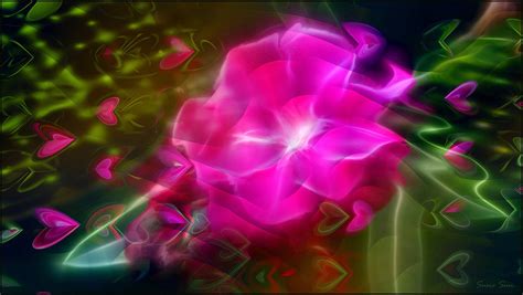 Wallpaper 1600x903 Px Art Cats Colors Flowers Fractal Nature Wallpaper 1600x903