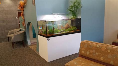 Medical Office 6 150 Gallon Freshwater Arctic Reef