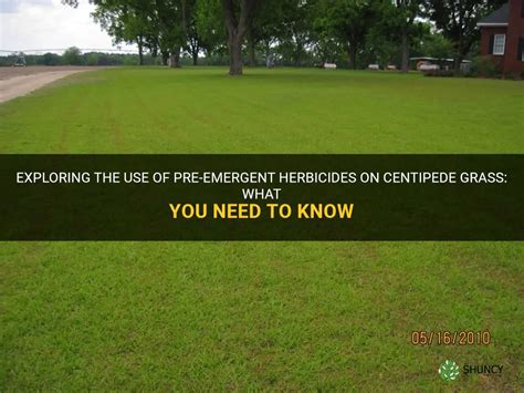 Exploring The Use Of Pre Emergent Herbicides On Centipede Grass What