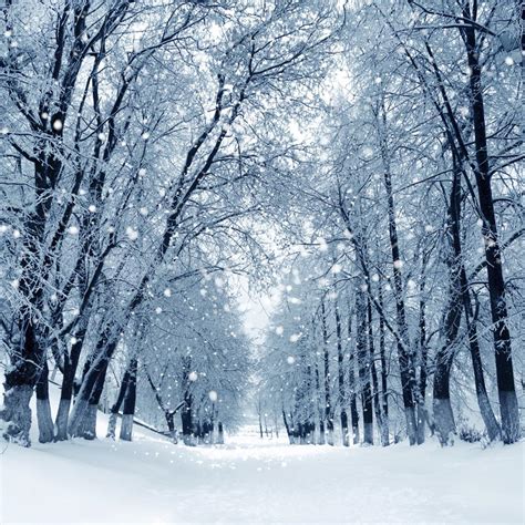 Winter Wonderland Zoom Background