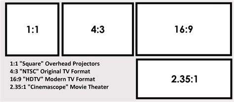 The Basics Of Selecting The Right Projection Screen For You