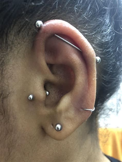 Bruised Industrial Piercing Rpiercing