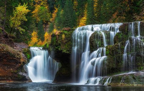 Wallpaper Autumn Forest Waterfall Cascade Washington Washington