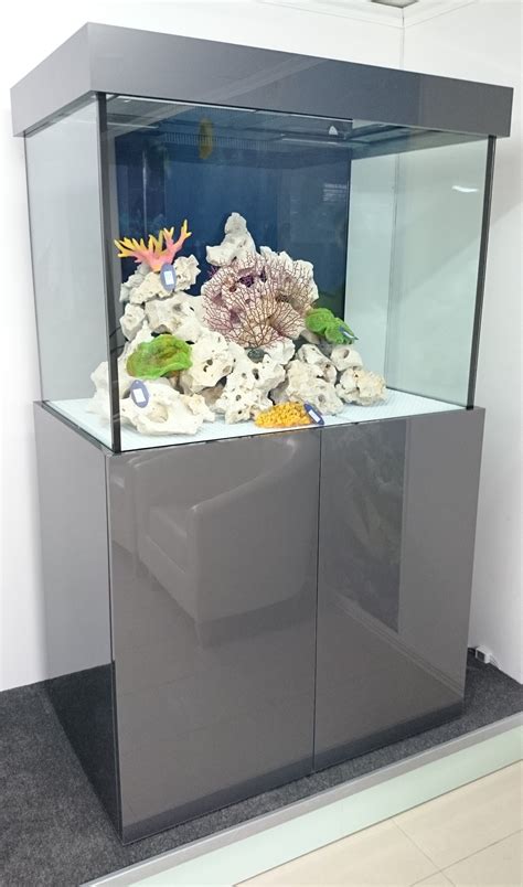 Free Modern Fish Tank With New Ideas Home Decorating Ideas