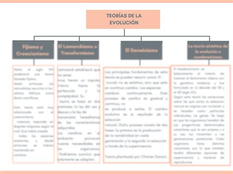 Solution Mapas Conceptuales Teorias Evoluci N Diagramas Studypool The Best Porn Website