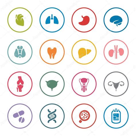 Human Organs Icon Set Stock Vector Image By ©missbobbit 61880197