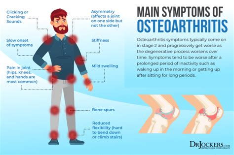 Osteoarthritis Symptoms Causes And Natural Support Strategies
