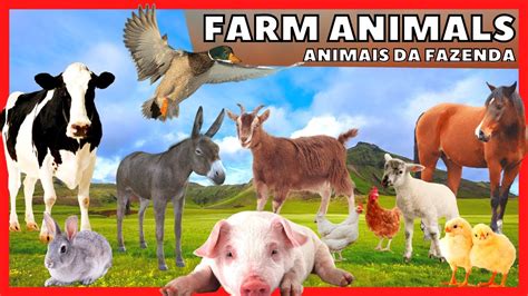 🔴 Animais Da Fazenda Fatos E Curiosidades Sobre Os Animais Da Fazenda
