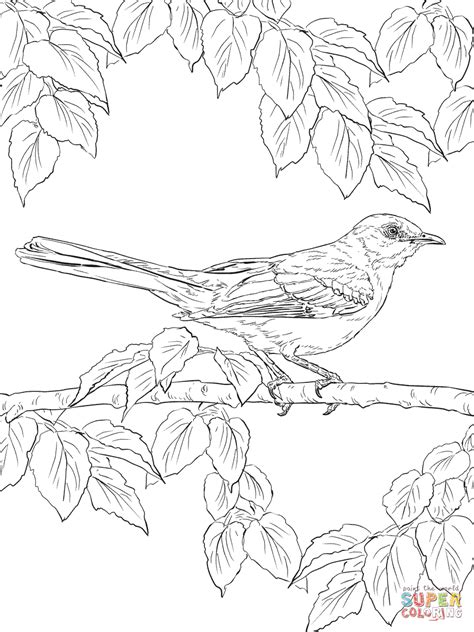 Free realistic coloring pages are a fun way for kids of all ages to develop creativity, focus, motor skills and color recognition. Realistic Northern Mockingbird coloring page | Free ...