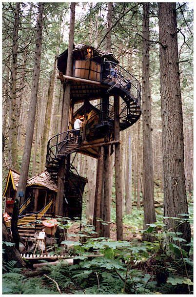 Enchanted Forest Treehouse Canada Keith Johnson Pinterest Treehouse