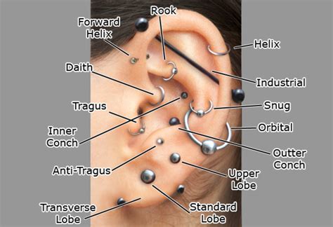 How To Care For A Helix Or Forward Helix Piercing Tatring