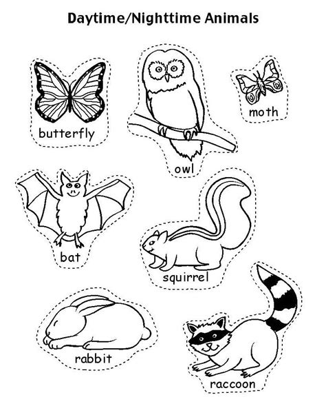 Free Printable Nocturnal Animals Worksheets