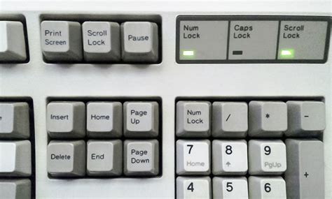 You may have to hit shift + f14, depending on your settings. Scroll Lock - Wikipedia