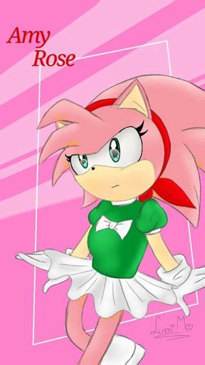 Amy Rose Sonic The Hedgehog Amino