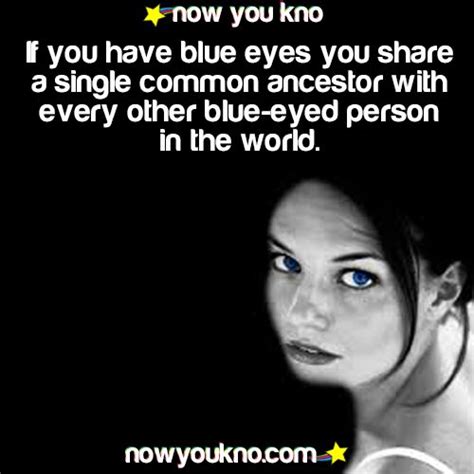 If You Have Blue Eyes You Share A Single Common Ancestor With Every
