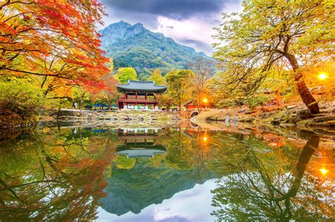 Autumn In Korea Go Go Hanguk