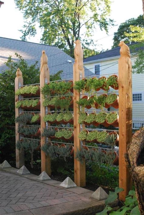 7 Top Ideas For Your Vertical Vegetable Garden Vertical Garden Diy
