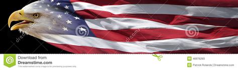Bald Eagle And American Flag Banner Stock Image Image Of Make
