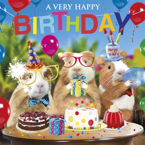Funny Guinea Pig Birthday Card Birthday Fun Party Hats Birthday Bunting