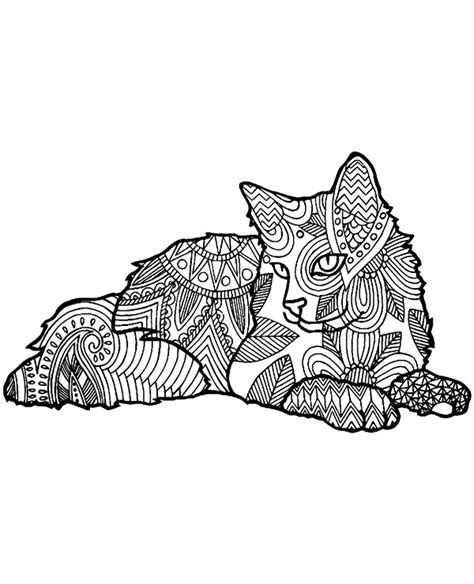 lying cat  color   picture  print
