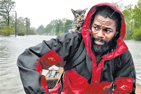 Kitten Clings To Owner Amid Flood Rescue In North Carolina Las Vegas