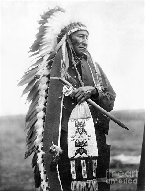 SIOUX CHIEF, c1905 Photograph by Granger