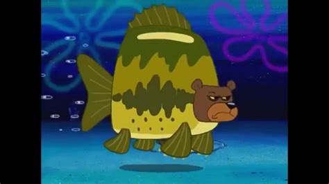 Guys Remember What To Do When You See A Sea Bear Rspongebob