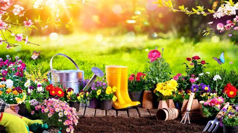 Get Your Garden Ready For Summer Boundless By Csma