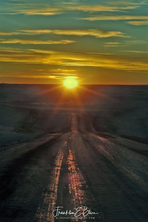 Driving Into The Western Sunset Bliss Photographics Portrait