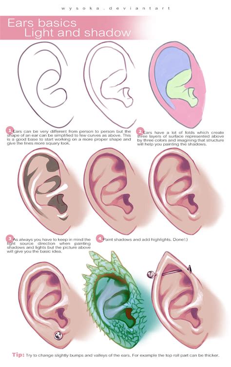 How To Draw Ears By Wysoka On Deviantart
