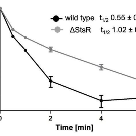 Stsr Decreases The Half Life Of Rpoe Mrna Rifampicin Was Added To