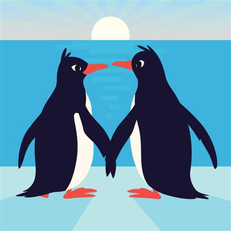 Pareja De Pinguinos Vectores Libres De Derechos Istock