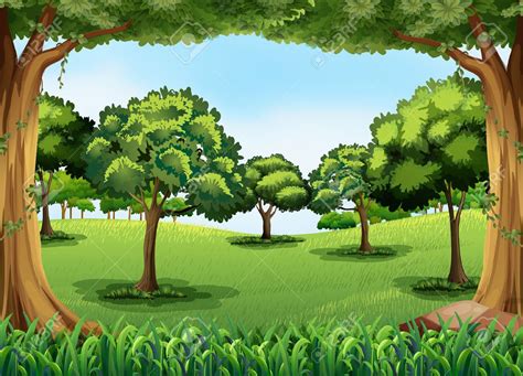 Clip Art Forest 20 Free Cliparts Download Images On Clipground 2023