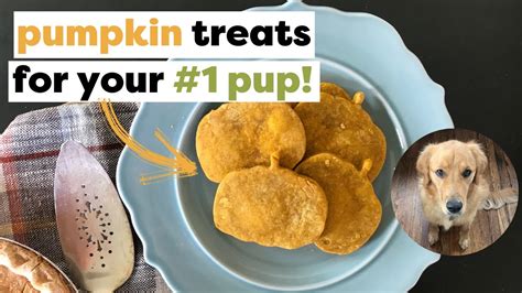 Make This Easy Pumpkin Treat Recipe For Your Pups Pumpkin Dog Treat