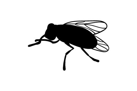 House Fly Silhouette Svg Cut File By Creative Fabrica Crafts · Creative