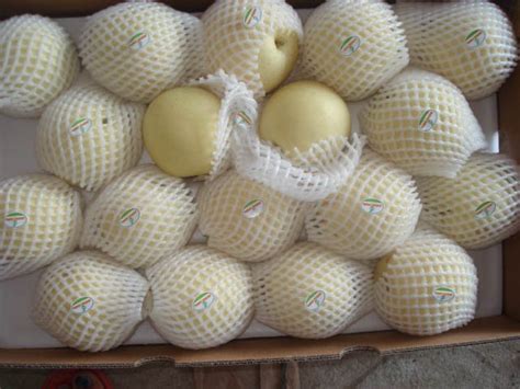 Huangguan Pear Crown Pear Golden Pearchina Sinoco Harvest Price