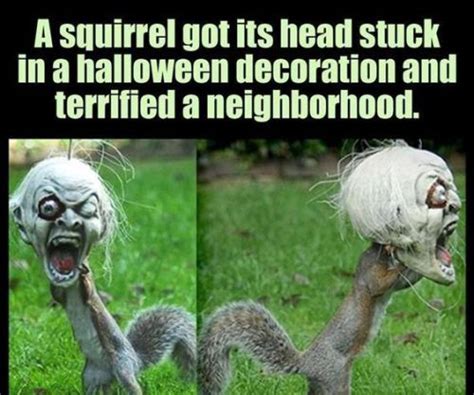 I recall my first time with a condom, i was 16 or so. If you are good, go hiding, the witches, the demons and ...