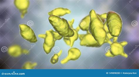 Bacteria Mycoplasma Genitalium Stock Illustration Illustration Of