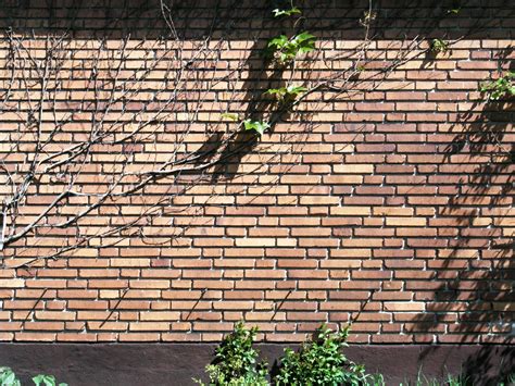 Filesolna Brick Wall 4 Skifts Munkforband Wikimedia Commons