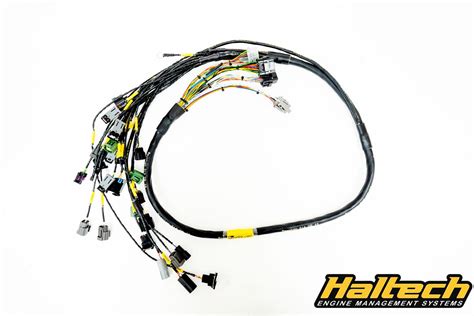13b Milspec Haltech Elite Harness