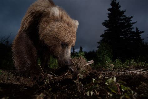 2012 National Geographic Photography Contest Winners | Photos | The Big ...