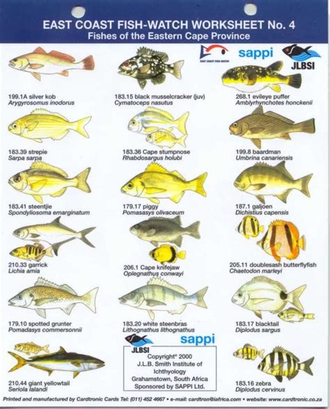 Pin By On South African Fishes Fish Chart