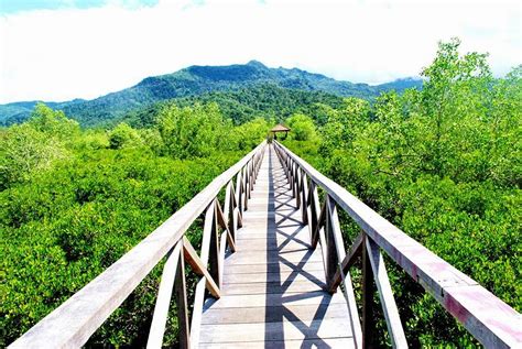 Wisata bukit cinta bayat klaten merupakan wisata baru saja di resmikan pada akhir tahun 2017, namun sejak itu wisata klaten ini selalu dipadati oleh pengunjung. Hutan Mangrove Trenggalek - azizalkayis